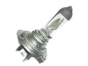 lot 569 image: Ford 3W1Z-13N021-BA Bulb, 2002-2019 Ford