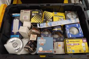 lot 762 image: Assorted Light Bulbs - Automotive and Home