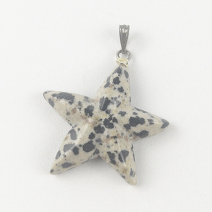 lot 308 image: Dalmatian Jasper starfish silver tone base metal pendant (no chain).