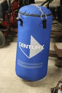 lot 611 image: Century Training Bag  Hanging with Chains