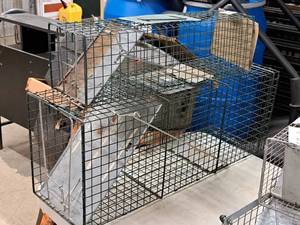 lot 594 image: Lot of (2) Live Animal Traps