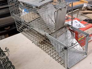 lot 593 image: Lot of (2) Live Animal Traps