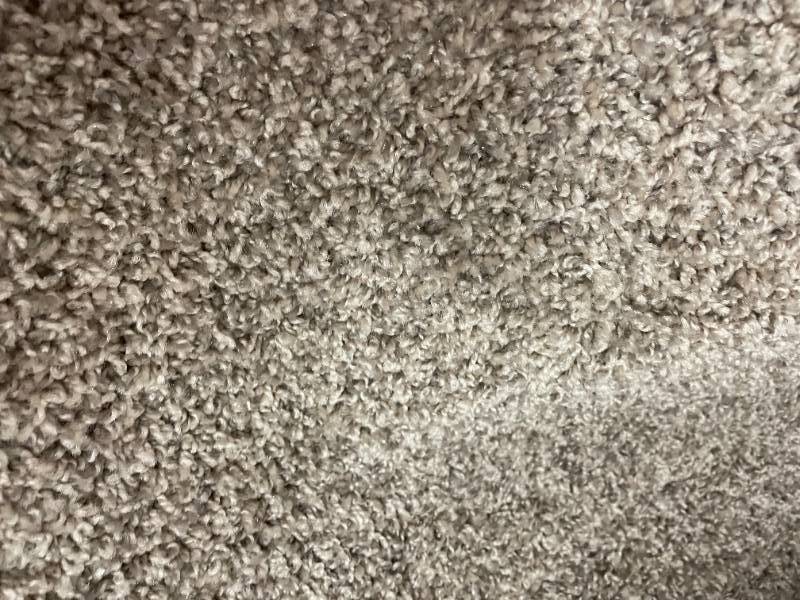 123 SF Greige Carpet REM 12 x 103