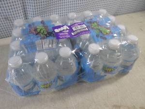 (C-2) Case of 24 Bottles Splash Bla...