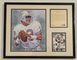 lot 59B image: Dan Marino Limited Edition Numbered Framed and Matted Print  Card - Miami Dolphins Football