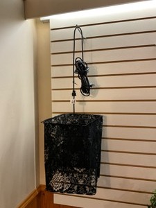 Light with Black Lace Shade