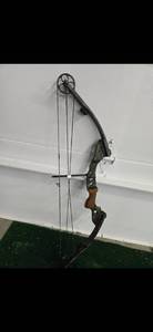 lot 11 image: Mathews Solo Cam Bow