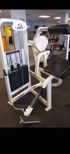 lot 1 image: Cybex Back Extension (Excellent Condition)