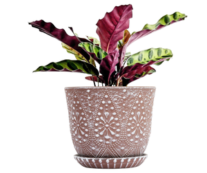 lot 550 image: Gepege 10 Inch Plant Pot, Ceramic Planter with Drainage Holes and Saucers for Plants Indoor and Outdoor