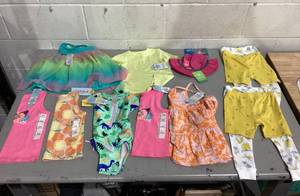 lot 491 image: LOT OF 12 Girls Clothing, Size 18 months