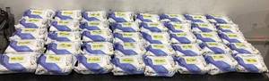 lot 561 image: LOT OF 40 Vibrant Life Deodorizing Dog Wipes, Vanilla Coconut, 100 Count
