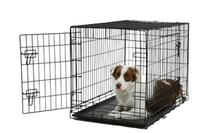 lot 605 image: Vibrant Life Double Door Metal Wire Dog Crate with Leak-Proof Pan and Divider, 36 inch