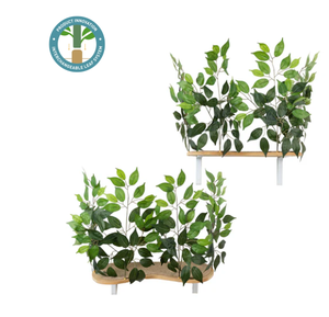 lot 650 image: Interchangeable Leaves Curved Cat Canopy (Set of Two), Zen Green