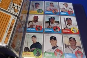 3 RING BINDER WITH 2 TYPES OF CARDS