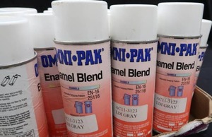 ONMI-PAN ENAMEL SPRAY PAINT