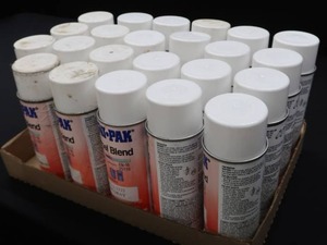 ONMI-PAN ENAMEL SPRAY PAINT