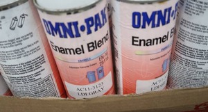 OMNI-PAN ENAMEL SPRAY PAINT