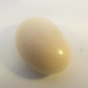 CORAL - 16.1ct. Oval cabochon cut