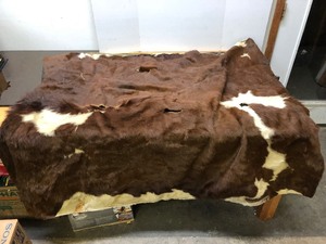 lot 210 image: Nice Original Antique Cow Hide Saddle Blanket - Mason City Hide Fur Company