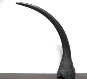 lot 109 image: LARGE Quality Museum Replica Black Rhino Horn