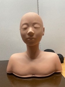 lot 88 image: Burmax Lisa Professional Massage Training Head Mannequin