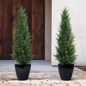 DR.Planzen 3 ft. Artificial IndoorOutdoor Topiary Cedar Tree, Faux UV Resistant Potted Plants Set of 2 Customer Returns See Pictures