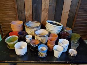 Super Large Collection of Small to Medium Planters
