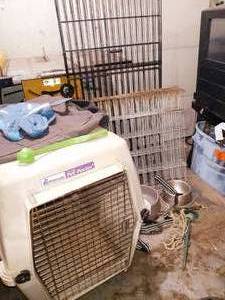 lot 74 image: Dog kennel, Puppy pen, and more
