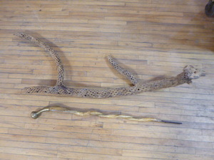 lot 29 image: Cane and Cactus Branch