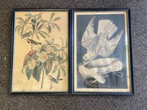 lot 32 image: Audubon Framed Bird Prints Set