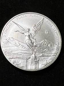 2 TROY OZ .999 FINE SILVER 2023 PLATA PURA ROUND