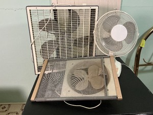 lot 198 image: Three Fans - Box, Oscillating, Window
