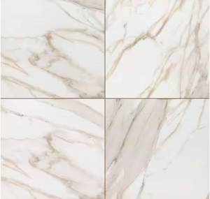 lot 351 image: MSI Aviva Calcatta Ceramic Tile 24x24 448- SF