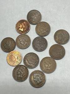 lot 37 image: Lot of 13 Indian Head Pennies (including 1889,1890,1891)