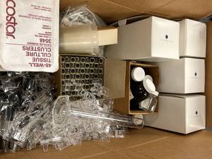LARGE BOX of Culture Tubes, Jars, Test Trays, Graduated Cylinder, Connecters, Cups $200 Retail Value