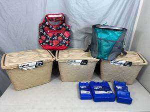 lot 250 image: New Backpack Cooler, Lunch Bag, Igloo Biodegradable Coolers with Assorted Ice Packs