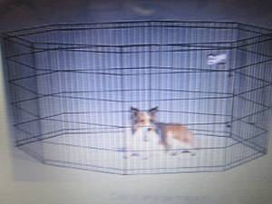 Midwest Home for Pets 552-30 Black ...