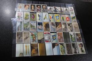 lot 107 image: Vintage English Tobacco Trading Card Lot  50 Cards