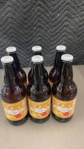 lot 40 image: Set of 6 WBC Spicy Ginger Craft Sodas - 16 oz Bottles