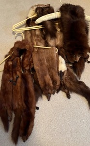 Multiple Vintage Pelts Full Body Mink Fur Taxidermy Animal Leather Scarf and Wrap Collar Shawl