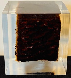 Unique Resin Paperweight