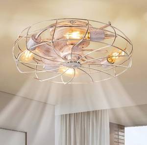 lot 22 image: New LEDIARY 20 Caged Ceiling Fans with Lights, Flush Mount Low Profile Ceiling Fan with Remote, Small Modern Farmhouse Industrial Ceiling Fan with Light for Bedroom, Kitchen, Dining Room, Indoor $99.99 Retail B