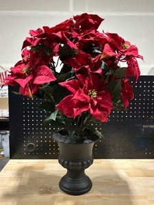 Large Poinsettia in Planter 31 Tall