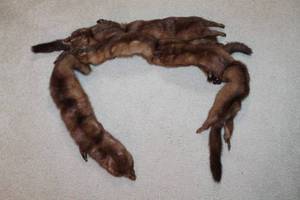 lot 118 image: Mink Fur Stole