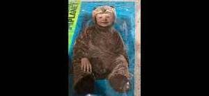 lot 76 image: Animal Planet Sea Otter One Piece Fully Lined Coverall Winder outfit for kids ( New)