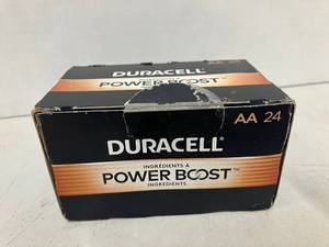 Duracell AA Power Boost Batteries