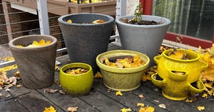 lot 201 image: Six Planter Pots