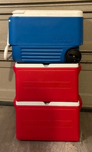 lot 365 image: Coolers by Igloo and Coleman