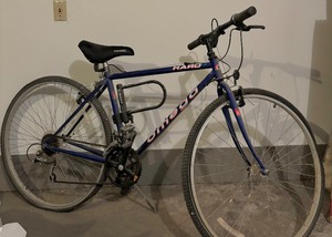 lot 344A image: Vintage 1993 Haro Impasse Bicycle by Omega