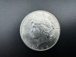 1925 BU Peace Silver Dollar  - Great Mint Luster